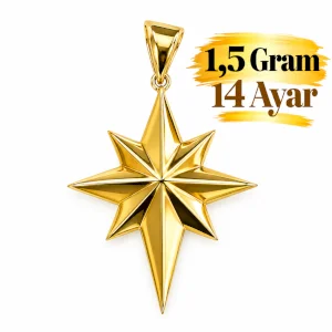 14 Ayar  Kutup Yıldızı Kolye Ucu(1,5-2 Gr)